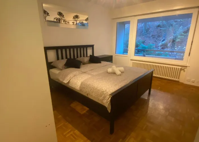 Centre De Apartament *